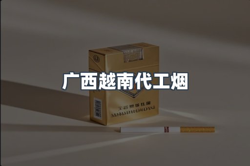 广西越南代工烟